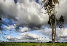 格罗特菲尔德遭受打击，加强备战期待下次绝地反击