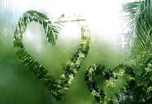 以色列女足国际锦标大显身手