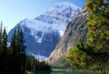 拜仁慕尼黑主场大胜，沃尔夫斯堡实力不济