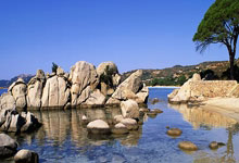 风光明媚！土耳其选手振奋精神，全力以赴拼搏